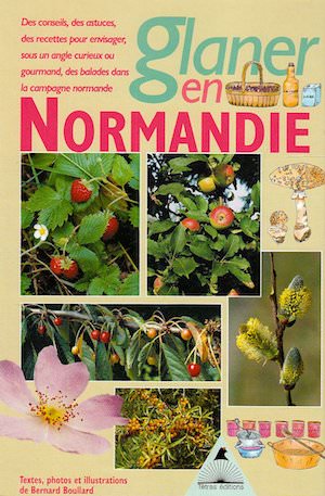 Glaner en Normandie