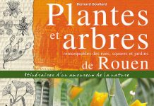 Plantes et arbres remarquables des rues, squares et jardins de Rouen Plantes et arbres remarquables des rues squares et jardins de Rouen