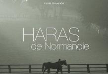 Haras de Normandie Haras de Normandie